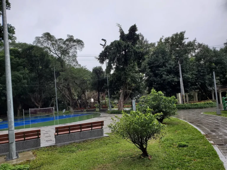 11101 768x576